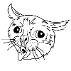 Mèmes de chat moche