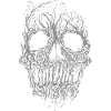 Skull from tree roots Skull