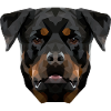 Polyart Rotweiler