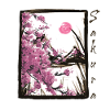 Sakura Japanese Cherry Blossom Cherry Blossom Tree