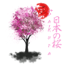Sakura japansk kirsebærblomst kirsebærblomst træ