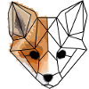 Fox pixel HRgeometrics