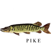 The pike
