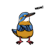Sturer Eisvogel