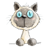 Funny Siamese Cat I Cat