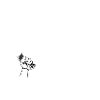 anarchie