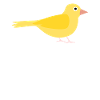 Canari Canari Canari Canari