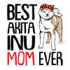 Akita Inu