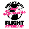 Stewardess flugbegleiterin Flugbegleiter Geschenk