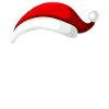 Bonnet