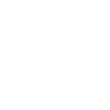 NEIN DANKE WIDERSTAND DEMO