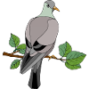 Vogel