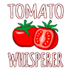 Tomate
