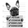 bouledogue français humour chien mignon