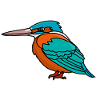 Eisvogel