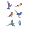 Jumelles d'observation des oiseaux Illustration