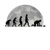 Pavage Evolution Lune Pierre Cadeau