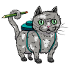 Back to school cat