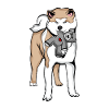 Akita Inu Plush Toy