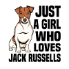 Jack Russell Terrier