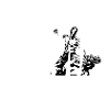 MMA Sports