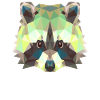 Raccoon