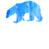 Eisbär
