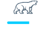Ours polaire