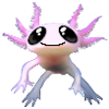 Süßes Axolotl