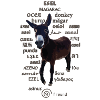 eselfreund