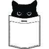 Cat in pocket