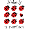 Nobody is perfect ladybugs individually
