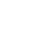 Roller Coaster Junkie