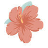 Hawaiian Flower Hawaii