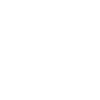 Islandsk hest islandsk islandsk hest