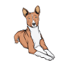 Basenji