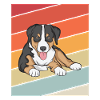 Appenzell Mountain Dog