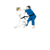 Judo
