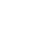 Cat Cat Pet