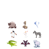 Animaux du monde Animaux drôles