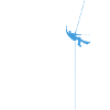 Cordiste