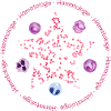 the star in hematology
