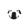Adopt Don't Shop