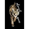 Big cat Iberian lynx Wild animal almost gone
