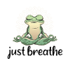 Yoga Meditation Meditation Frog