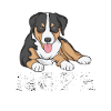 Appenzeller Sennenhund Hundespruch