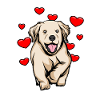 Golden Retriever | Golden Retriever