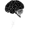 Brain Paragliding