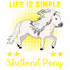 ShetlandPony Équitation Shetland Poney Shetty