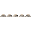 5 Möpse